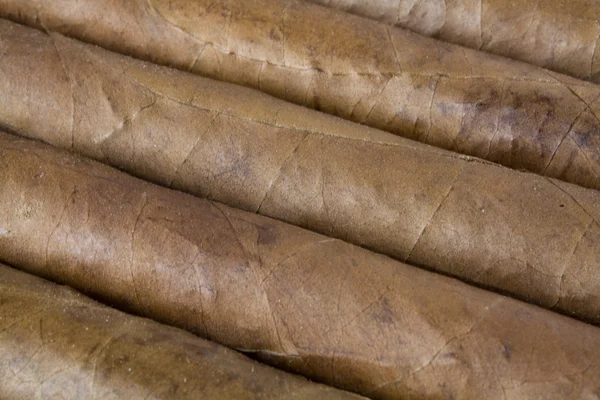 Textur der Zigarren — Stockfoto