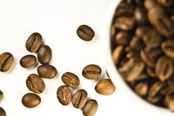 커피 콩의 컵 — 스톡 사진