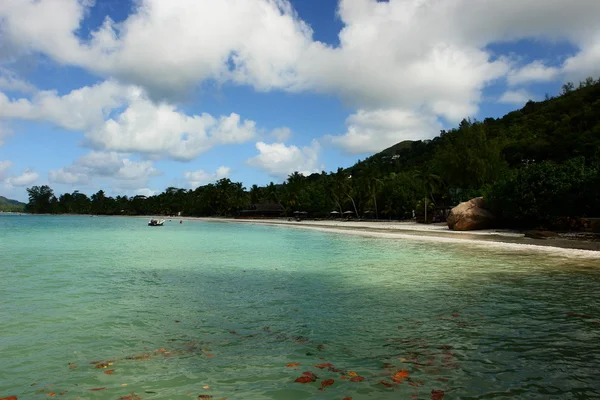 Seychellen eiland praslin — Stockfoto