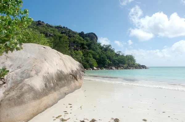Beach on Seychelles — Stock Photo, Image
