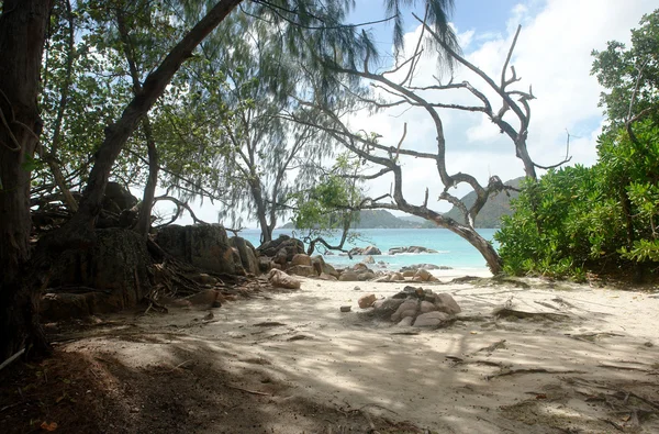 Pláž na Seychely — Stock fotografie
