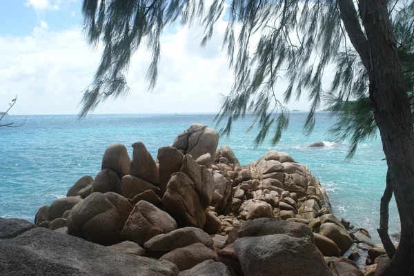 Pláž na Seychely — Stock fotografie