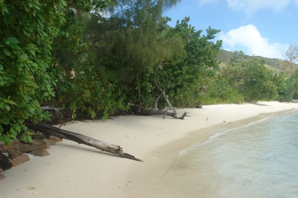 在塞舌尔群岛海滩 — 图库照片