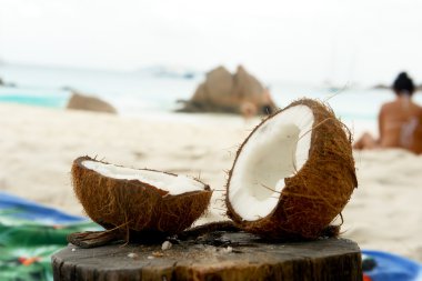 Seyşel Adaları. ada praslin. Anse lazio.