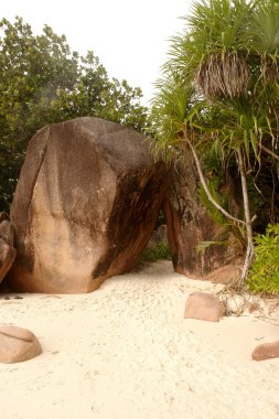 Seyşel Adaları. Doğa. ada praslin.