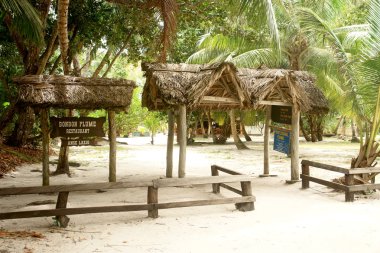 Seyşel Adaları. ada praslin.