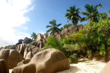 Seyşel Adaları. ada la digue.