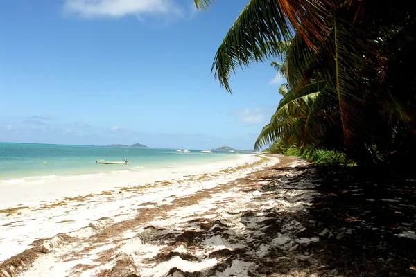 Praia Seychelles. Ilha Praslin . — Fotografia de Stock