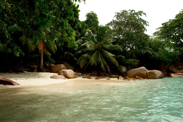 Пляжные Сейшелы. Остров Ла-Дигу . — стоковое фото