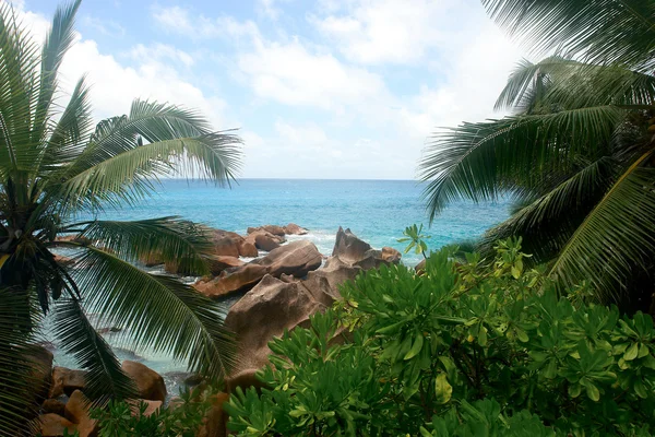 Beach Seychellen. eiland la digue. — Stockfoto