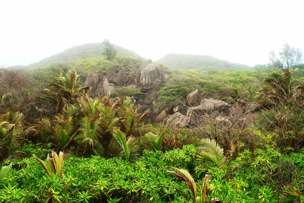 Seychelles. Island La Digue. — Stock Photo, Image