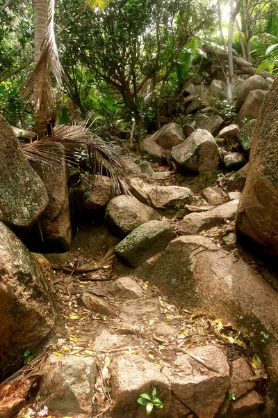 stock image Path of granite