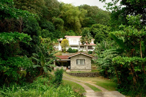 A kastély, a dzsungel a Seychelle-szigetek — Stock Fotó