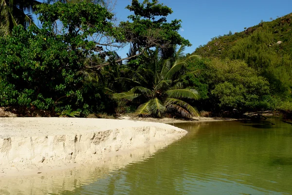 River on the island of Praslin. — Stock Photo, Image