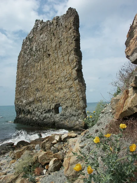 Rock-4 yelken — Stok fotoğraf