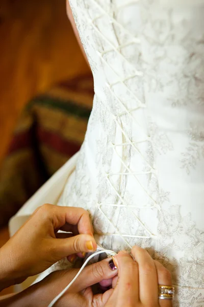 婚礼紧身胸衣 免版税图库图片