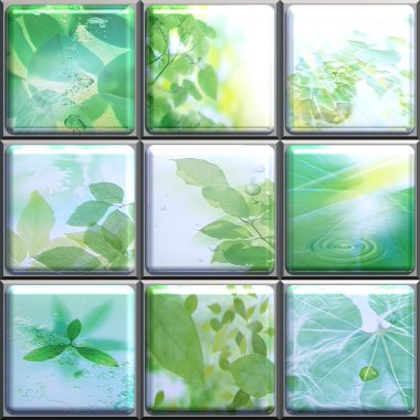 Leaf collage clipart