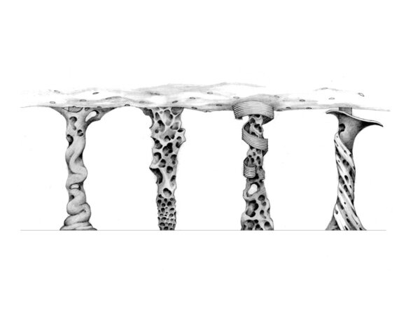 Decorative Colonnade.