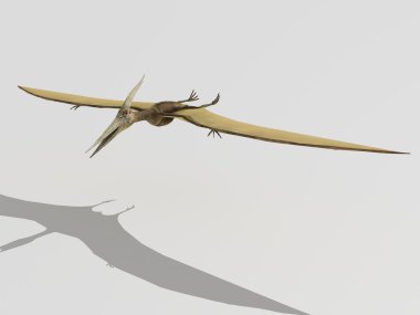 Pterodactyl clipart