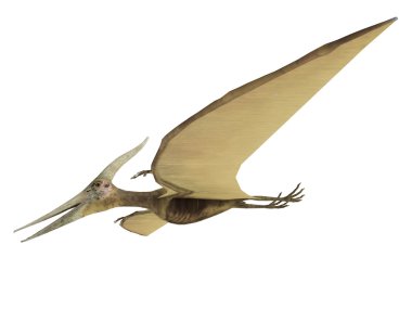 Pterodactyl clipart