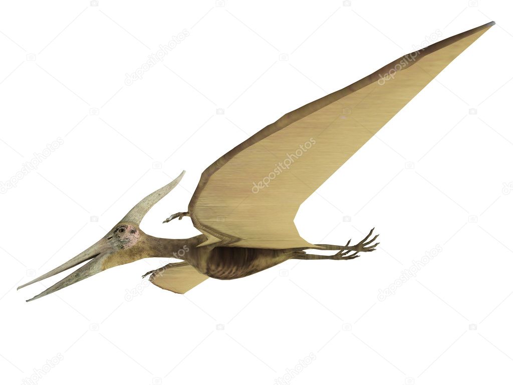 Pterodactyl Images – Browse 15,390 Stock Photos, Vectors, and