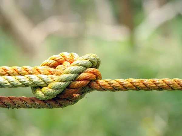A Knot — Stock Photo, Image