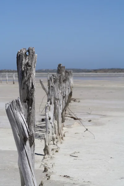 Coorong