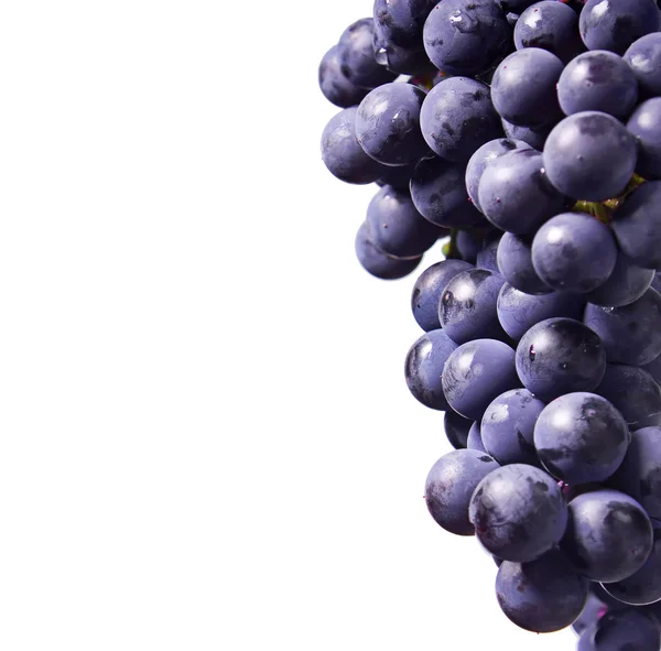 stock image Grapes