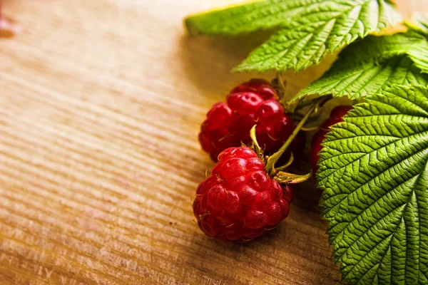 Raspberry fruit with stem and leaves — Stock Photo, Image