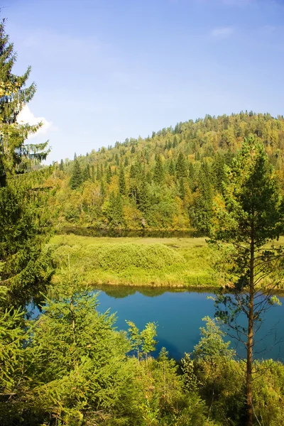 stock image Summer mountain landscape