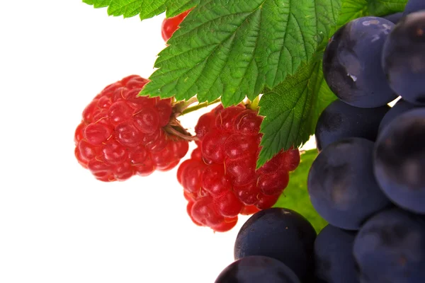 Raspberry and grapes — Stock Photo, Image