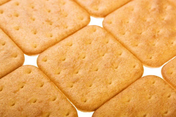 stock image Cookie of the cracker