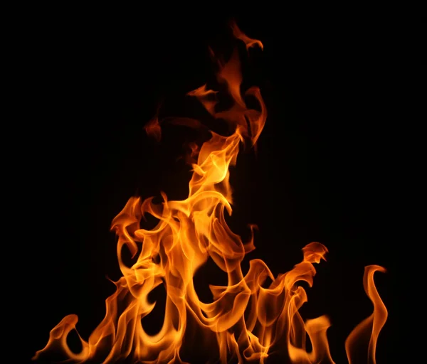 Tűz Stock Kép