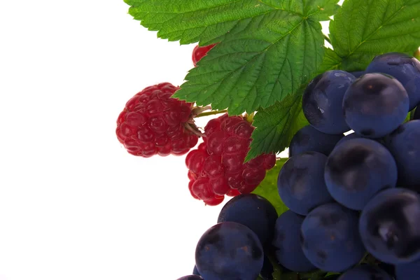 Raspberry and grapes fruit — Stock Photo, Image