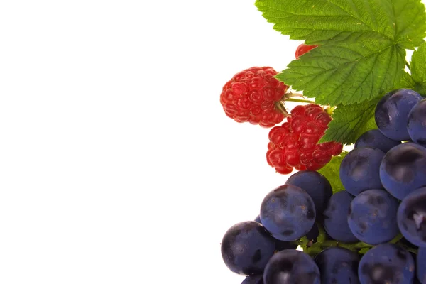 Owoc maliny i winogron — Zdjęcie stockowe