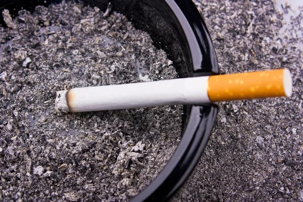 담배 — 스톡 사진