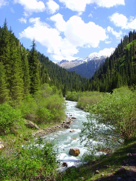 Małe rzeki górskie — Zdjęcie stockowe