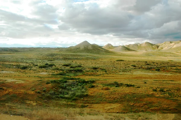 Yeşil çöl — Stok fotoğraf