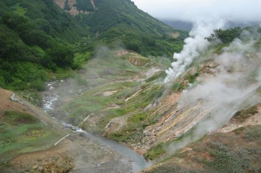 Valley of geysers on Kamchatka clipart