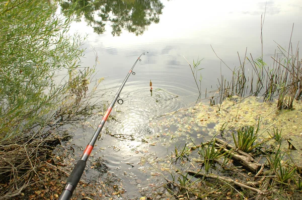 stock image Autumn fishing