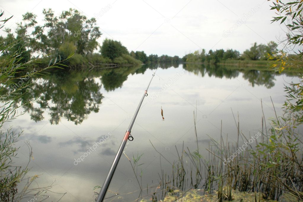 Fishing, spinning and lake