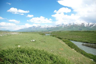 suusamyr Vadisi'nde, Kırgızistan