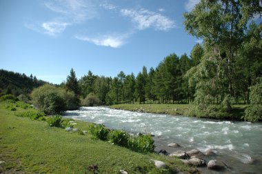 İsviçreli peyzaj