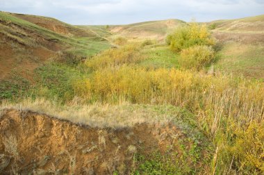 Steppe landscape clipart