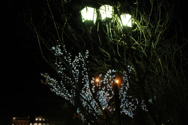 Три ночных фонаря — стоковое фото