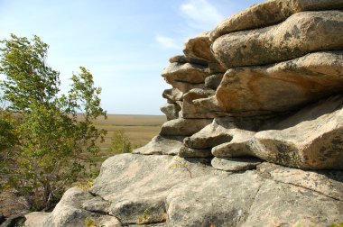 Mount the stones in the steppe clipart