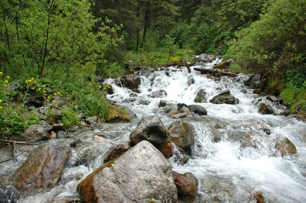 Gruvdrift liten flod — Stockfoto