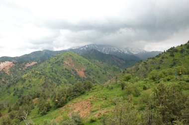 dağ Kayak yamacı summertime yılında