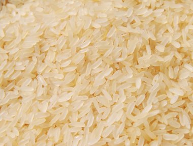 Rice background clipart