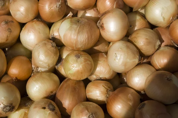 stock image Onion background